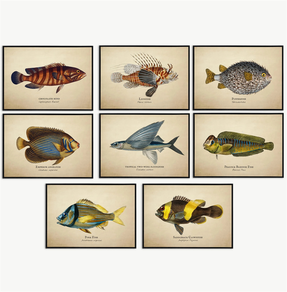 Fish In Aquarium Picture - Vintage Pictures Tropical Fish Jellyfish Shells