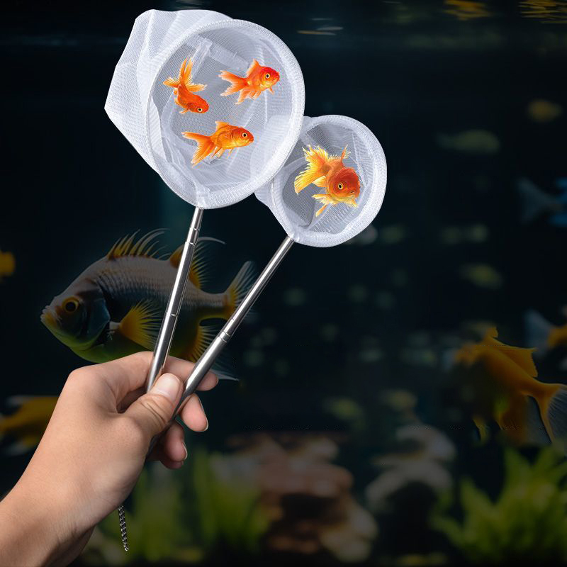 Aquarium Fish Net Small - Aquarium Fish Fishing Net Stainless Steel