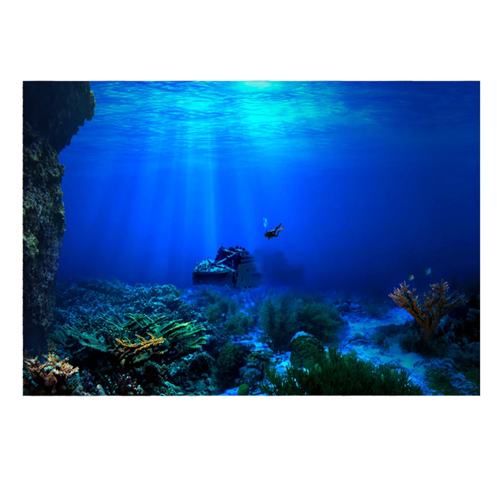 Fish In Aquarium Picture - Rainforest Aquarium Background Poster Fish Tank