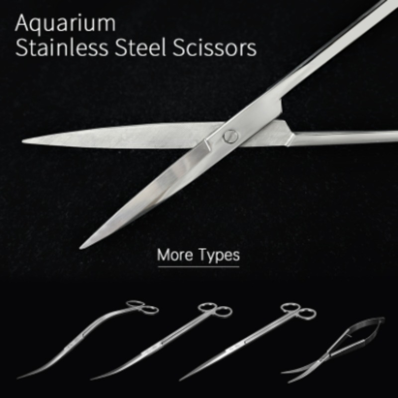 Aquarium Fish Photography - Week Aqua Stainless Steel Aquatic Plant