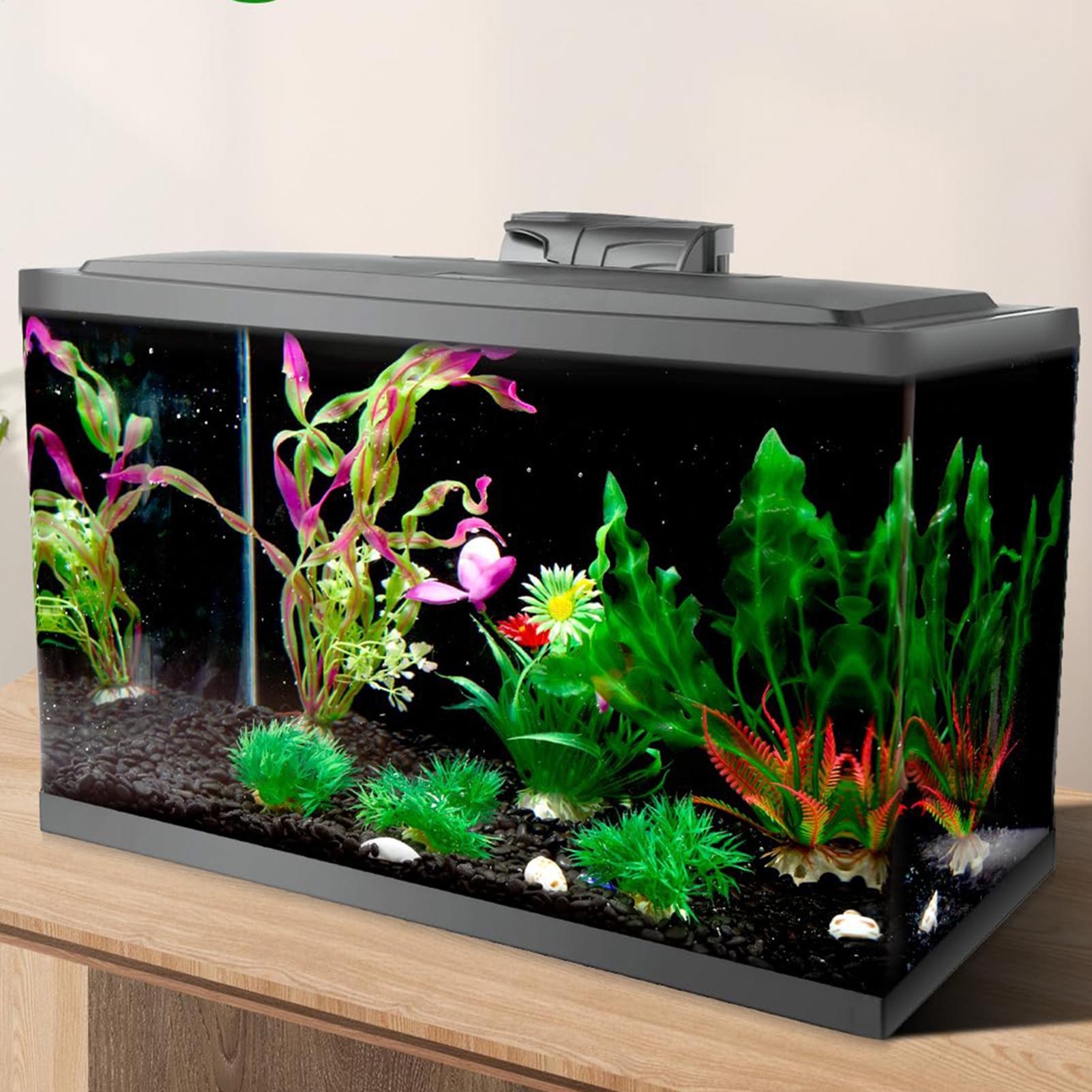 Fish In Aquarium Picture - Black Aquarium Background Picture Aquarium Wallpaper