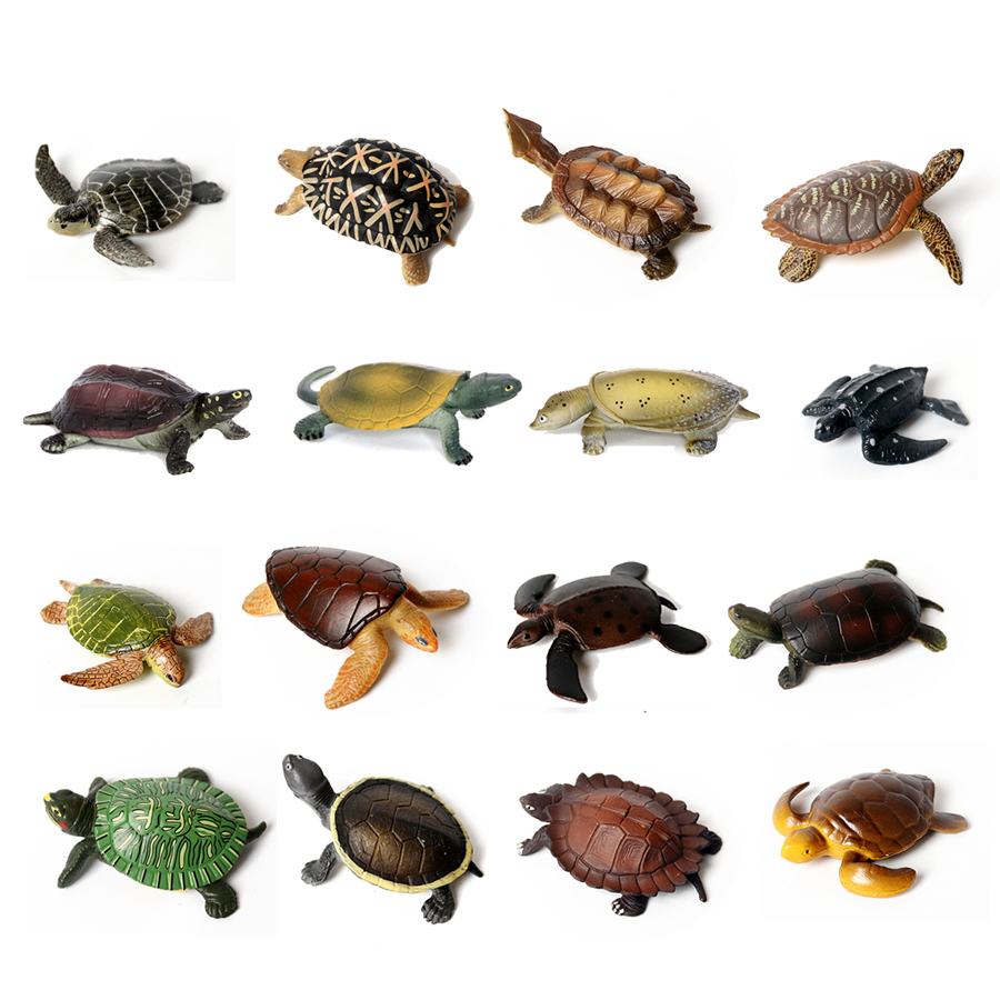 Fish Toy In Aquarium - Thực Tế Bức Tiểu Họa Sinh