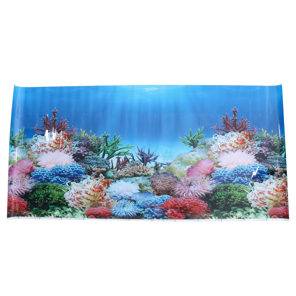 3 D Wallpaper Aquarium Picture - đánh giá và giá Fish In Aquarium Picture