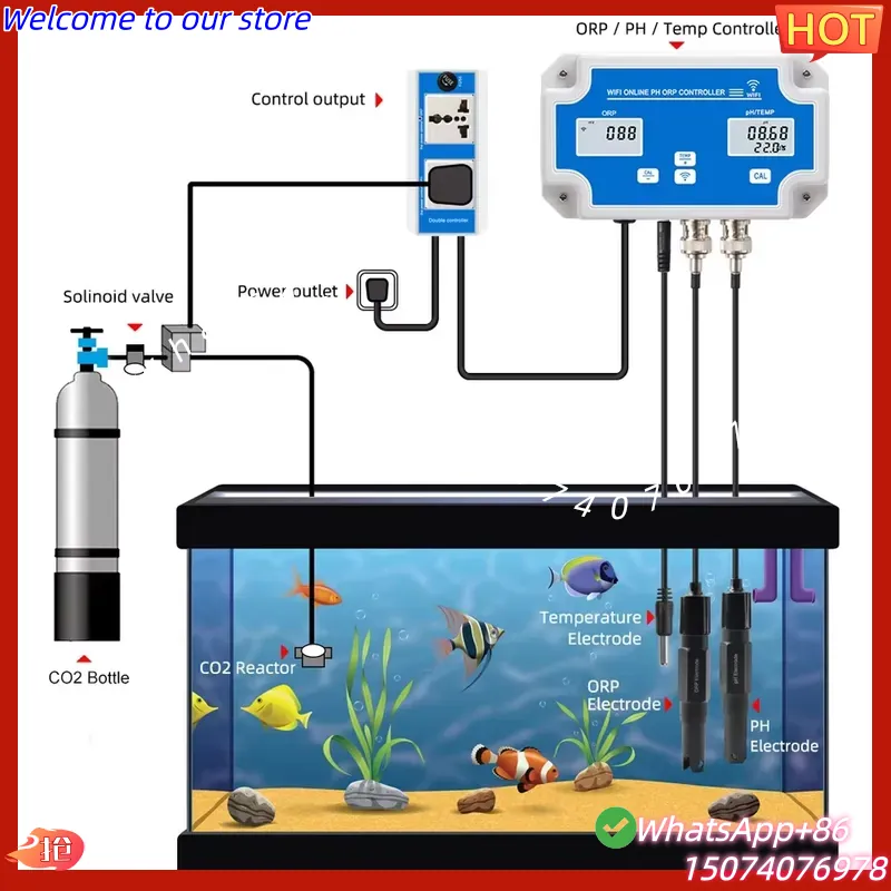 2026 Wireless WiFi Online Cont - đánh giá và giá Aquarium Fish Online