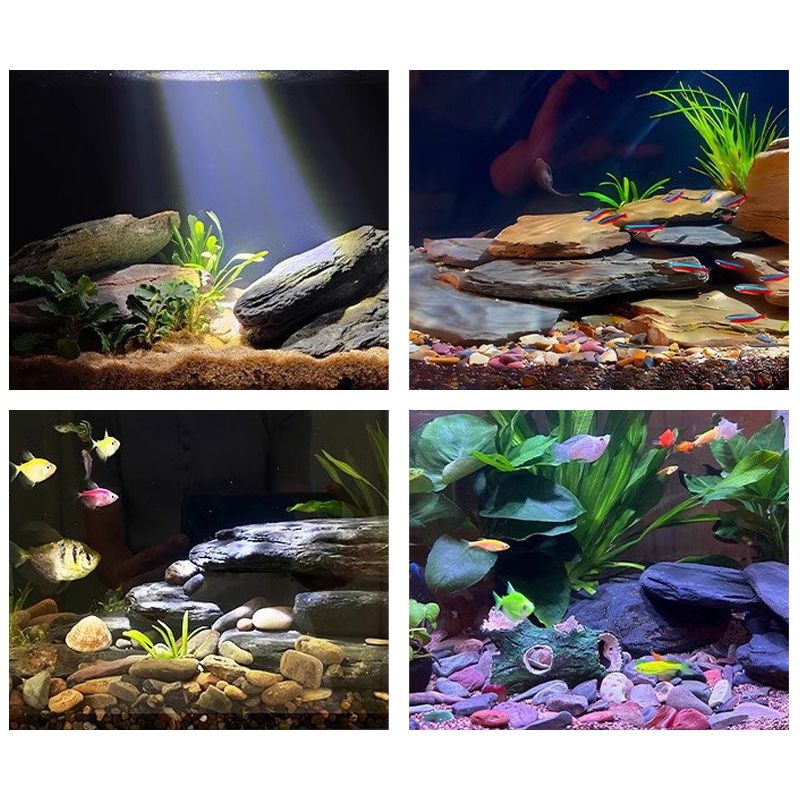 500/1000g Fish Tank Landscape  - đánh giá và giá Aquarium Fish Fishing