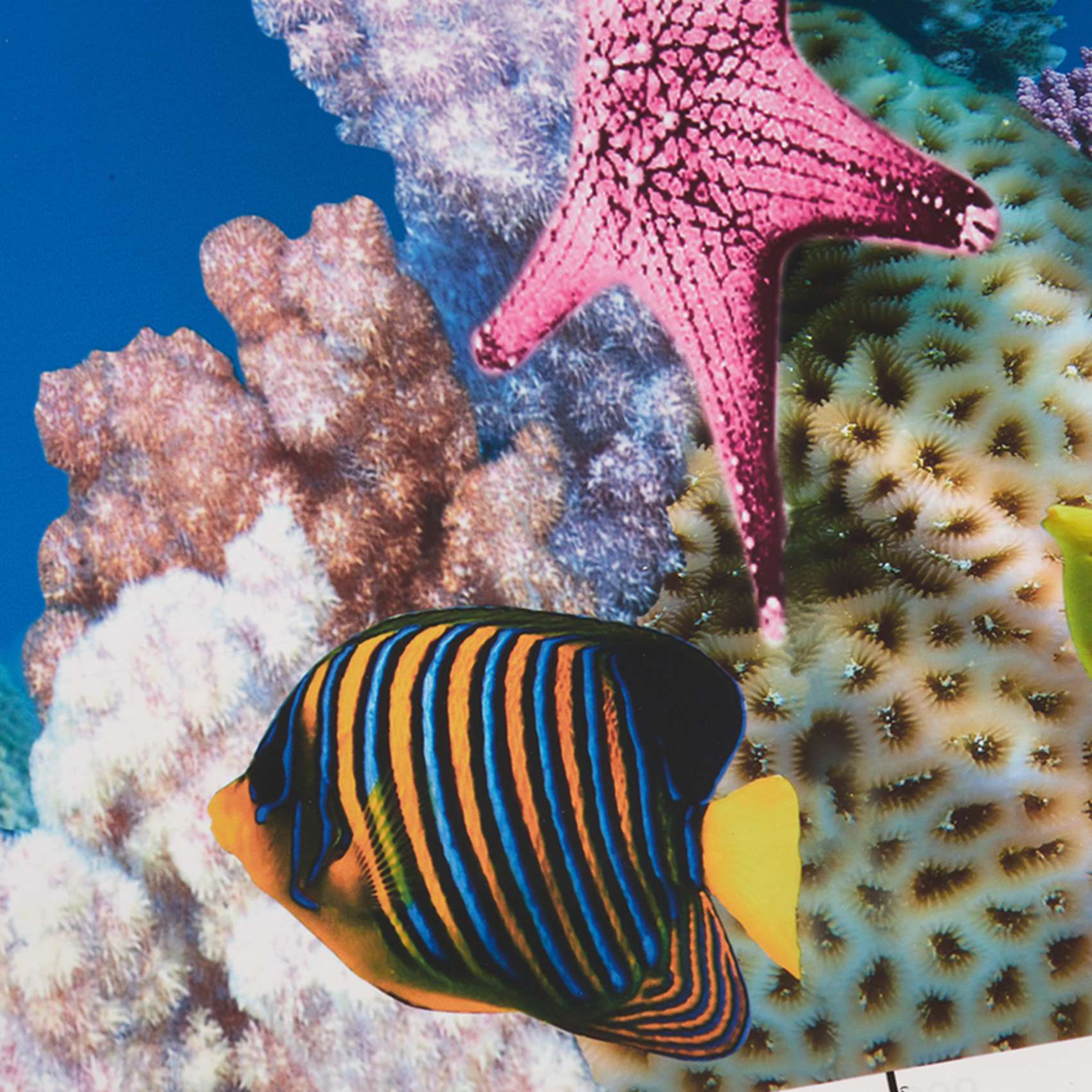 ABWR-Aquarium Background Paper - đánh giá và giá Fish In Aquarium Picture