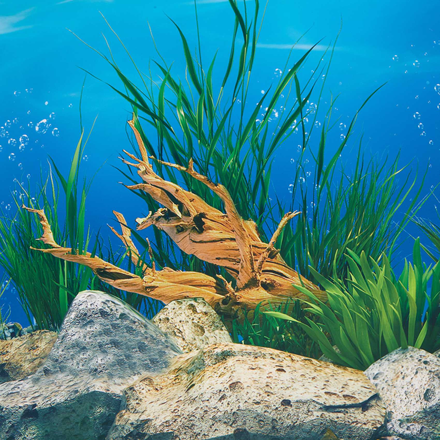 ABWR-Aquarium Background Paper - đánh giá và giá Fish In Aquarium Picture