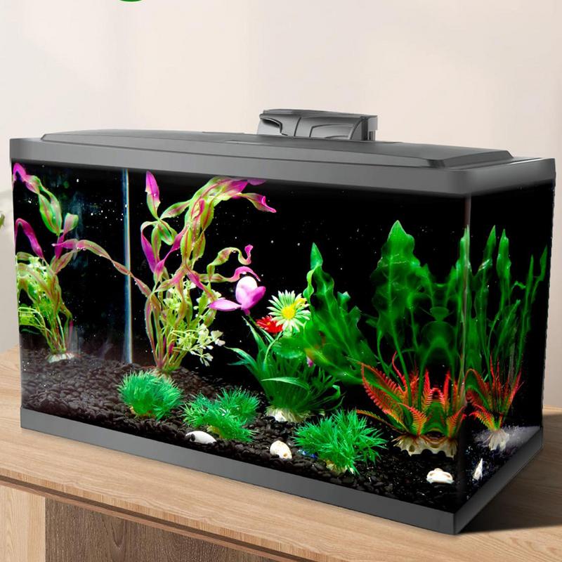 Black Aquarium Background Wall - đánh giá và giá Fish In Aquarium Picture
