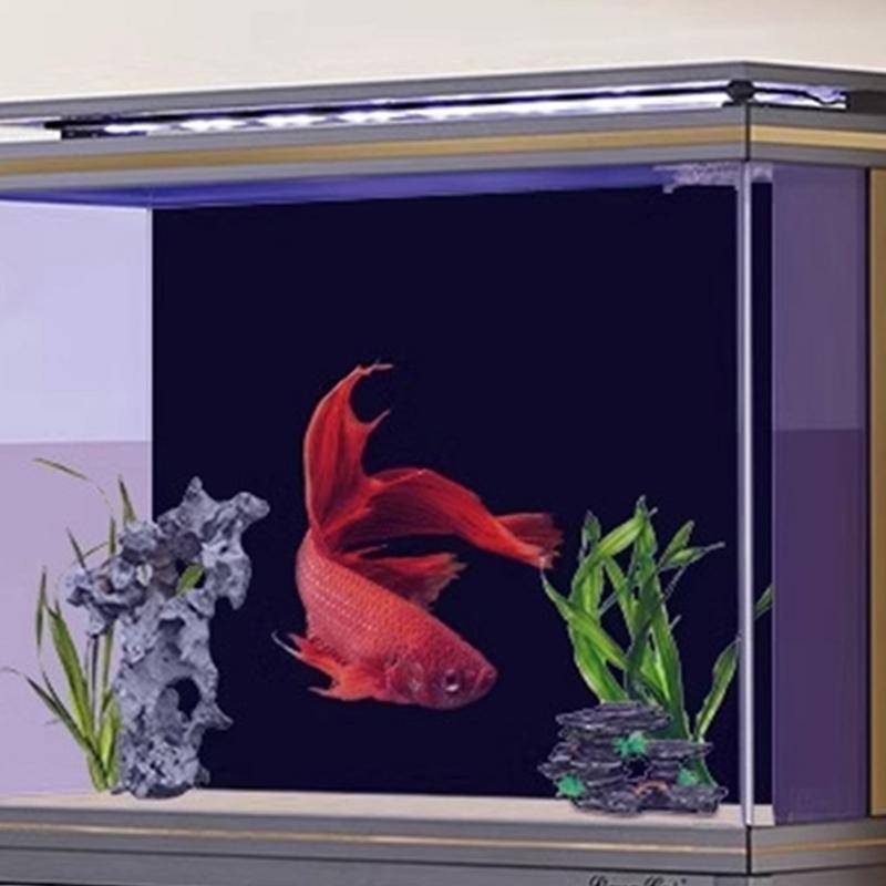 Black Aquarium Background Wall - đánh giá và giá Fish In Aquarium Picture