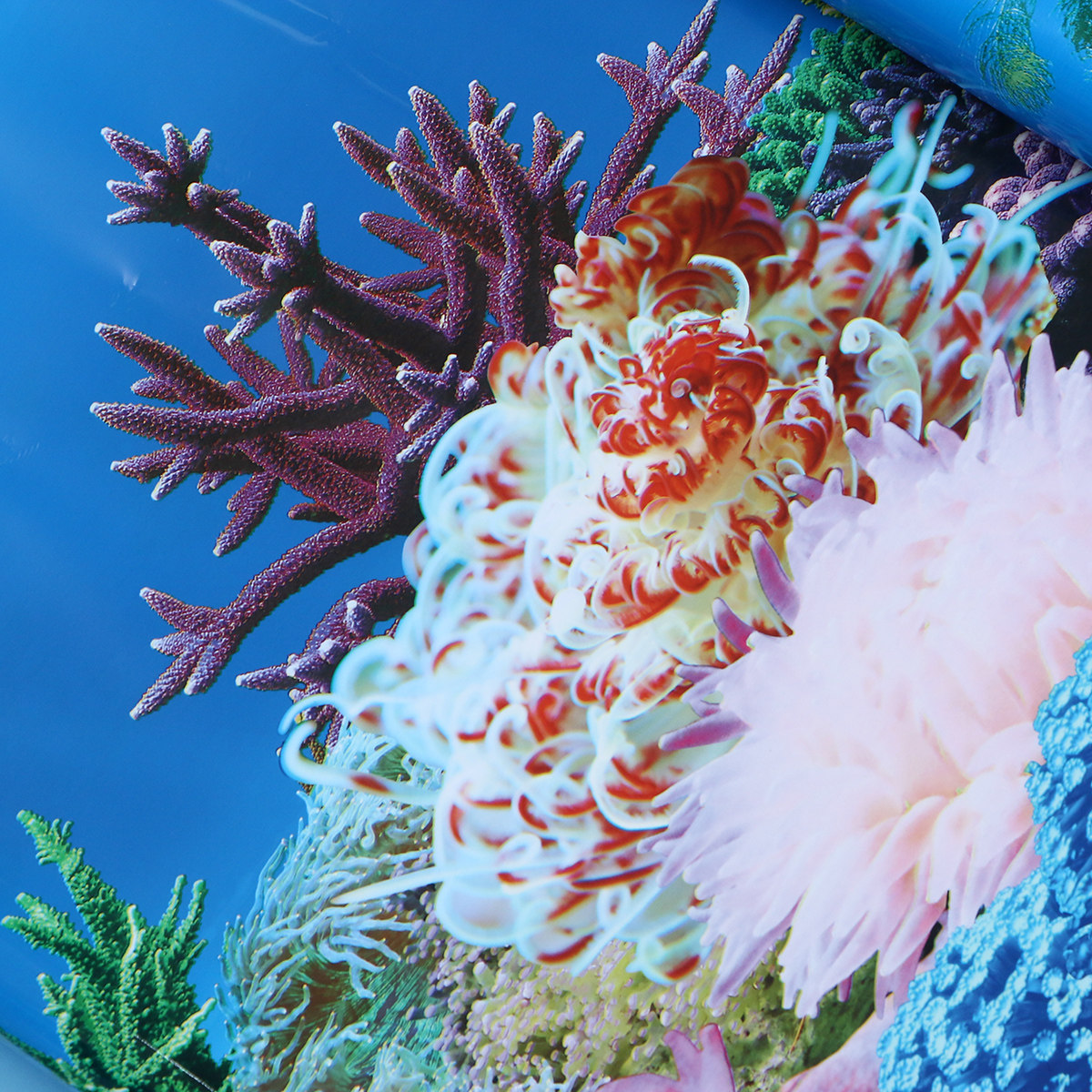 3 D Wallpaper Backgrounds for  - đánh giá và giá Fish In Aquarium Picture