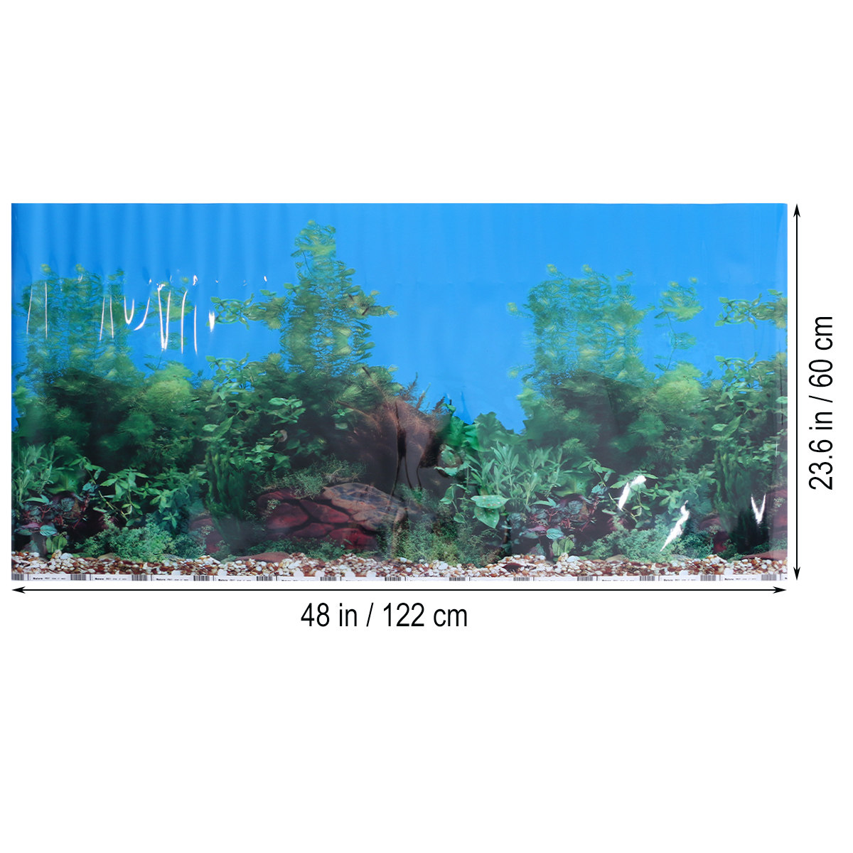 3 D Wallpaper Backgrounds for  - đánh giá và giá Fish In Aquarium Picture