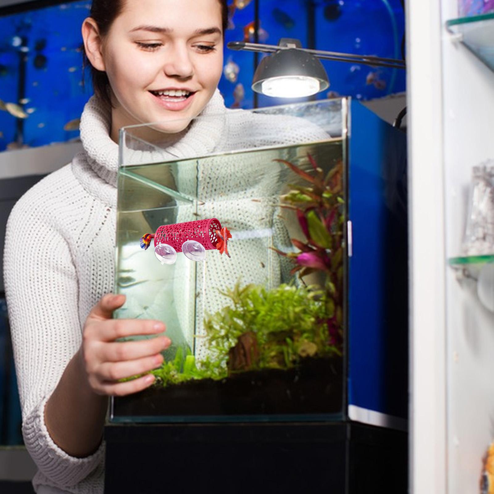 Betta Habitat Resting Shelter  - đánh giá và giá Fish Toy In Aquarium