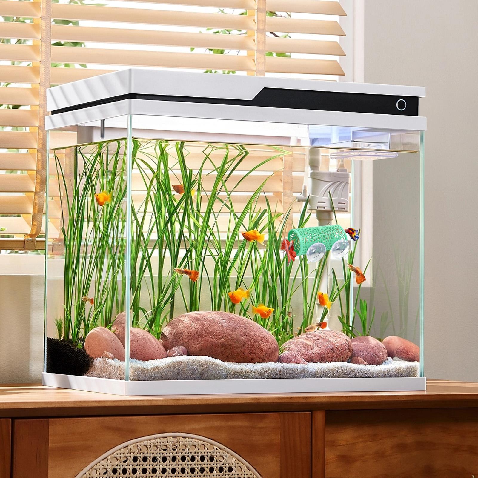 Betta Habitat Resting Shelter  - đánh giá và giá Fish Toy In Aquarium