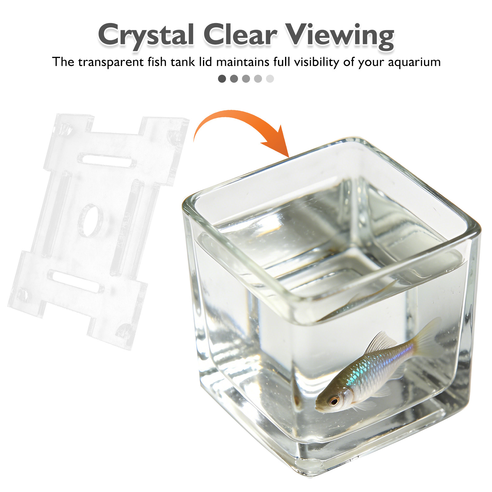 Transparent Acrylic Aquarium A - đánh giá và giá Aquarium Fish Jump Guard