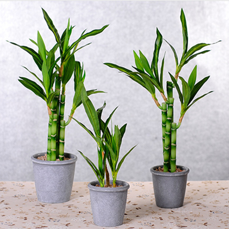 Mới 40Cm RFtificial May Mắn Tr - đánh giá và giá Aquarium Fish Fishing