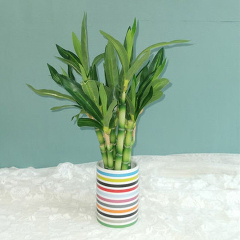 Mới 40Cm RFtificial May Mắn Tr - đánh giá và giá Aquarium Fish Fishing