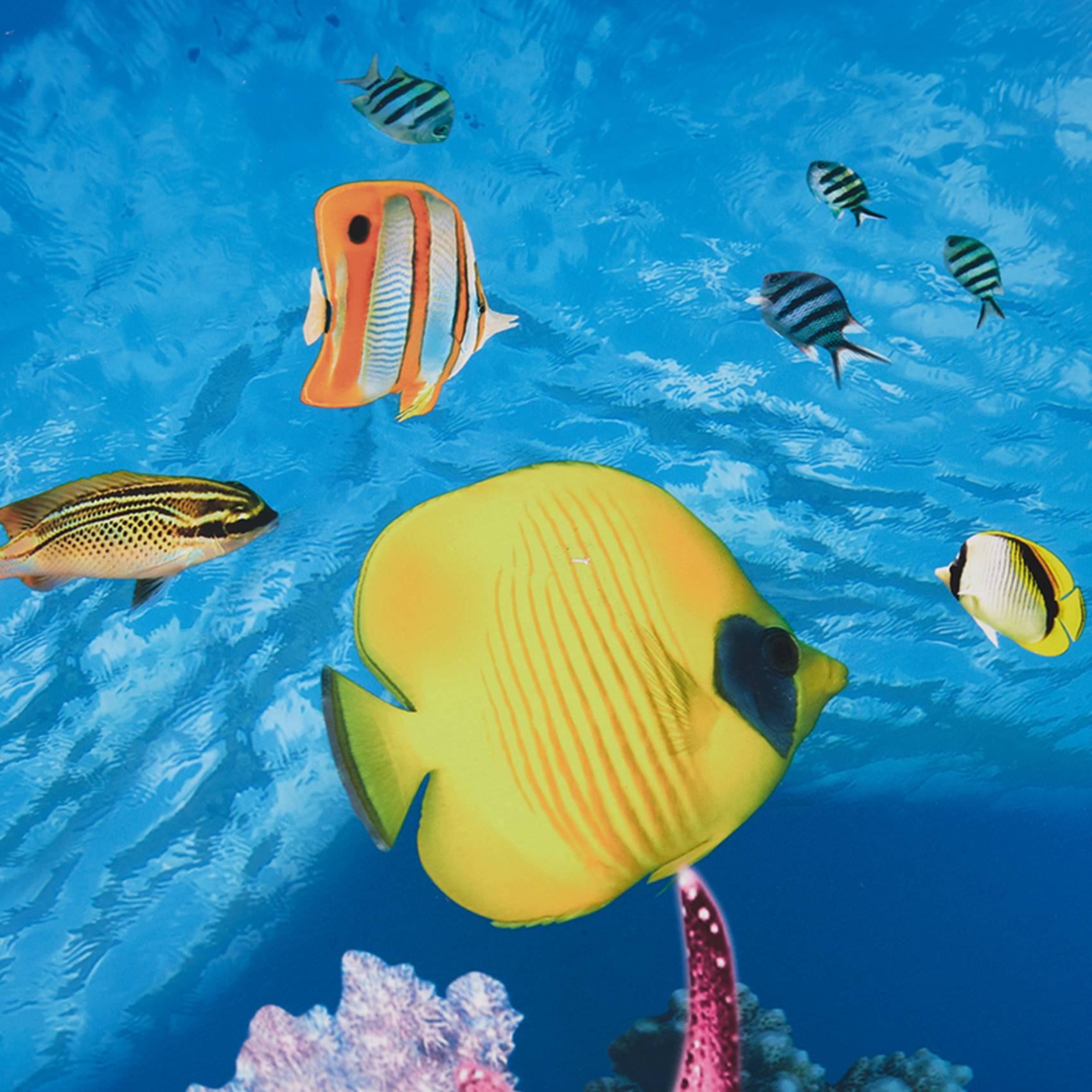 A77I Aquarium Background Paper - đánh giá và giá Fish In Aquarium Picture