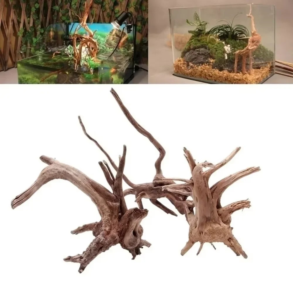 15-20CM Natural Driftwood Aqua - đánh giá và giá Aquarium Fish Fishing