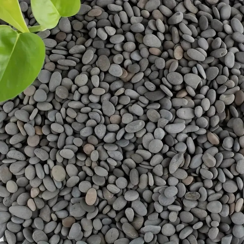 20Pcs Natural River Rocks Smoo - đánh giá và giá Aquarium Fish Fishing