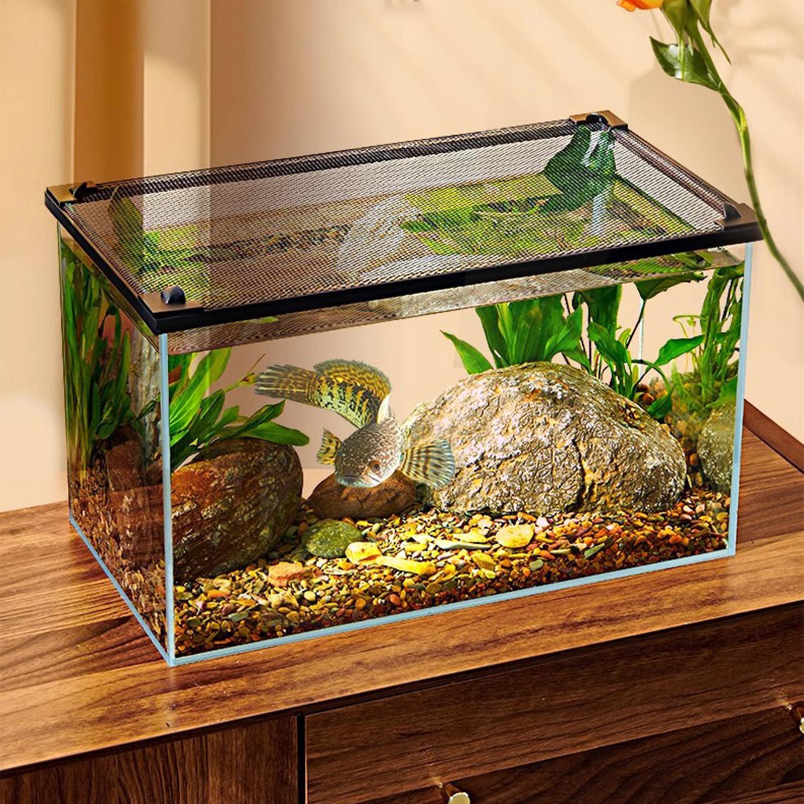Anti Jumping Magnetic Clear DI - đánh giá và giá Aquarium Fish Jump Guard