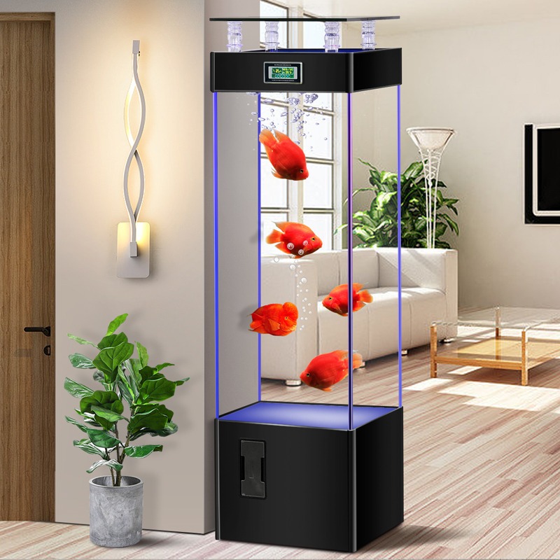 Ultra-clear glass fish tank, n - đánh giá và giá Aquarium Fish Goldfish