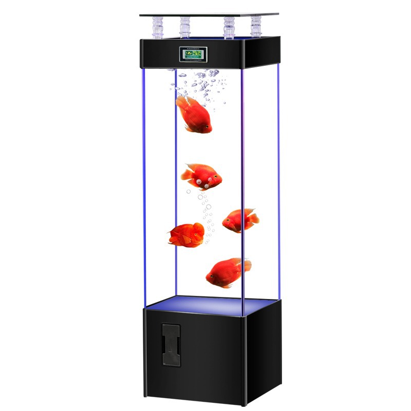 Ultra-clear glass fish tank, n - đánh giá và giá Aquarium Fish Goldfish