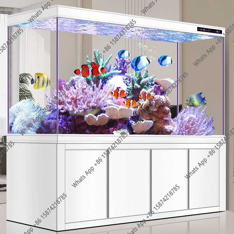 X Arowana Tank Ultra-white Gla - đánh giá và giá Xchange Aquarium Fish