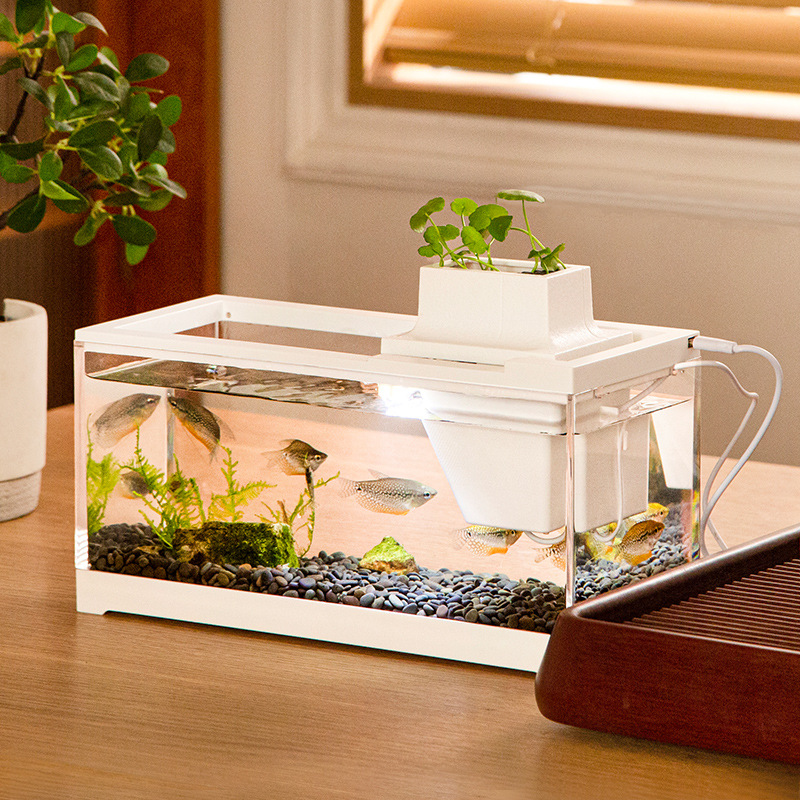 Fish Tank Aquarium Kits with W - đánh giá và giá Aquarium Fish Goldfish