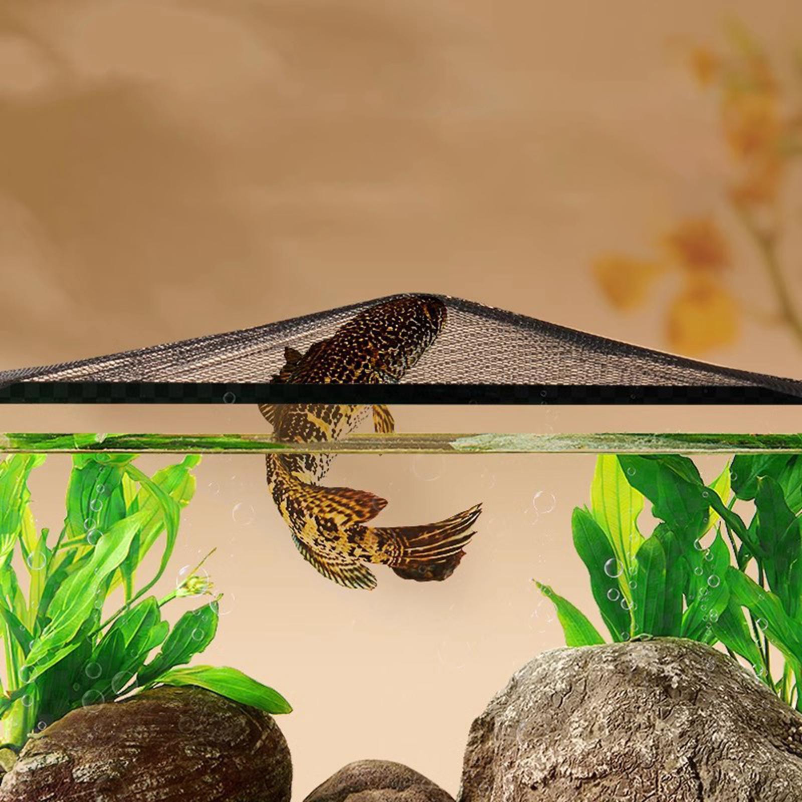 Aquarium Screen Top Cover Magn - đánh giá và giá Aquarium Fish Jump Guard