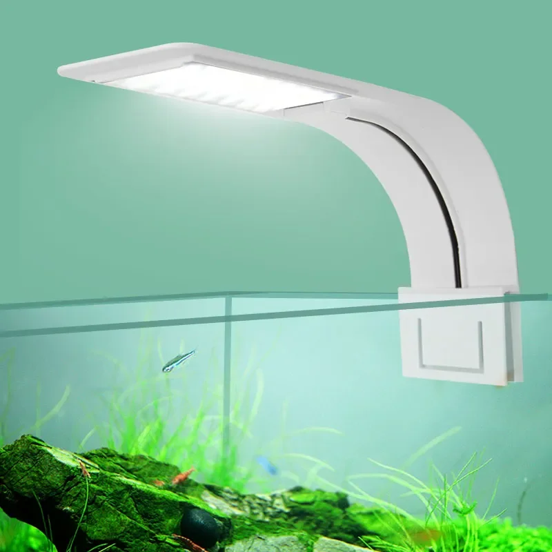 Siêu Mỏng Đèn LED Bể Cá Ánh Sá - đánh giá và giá Fish In Aquarium Picture