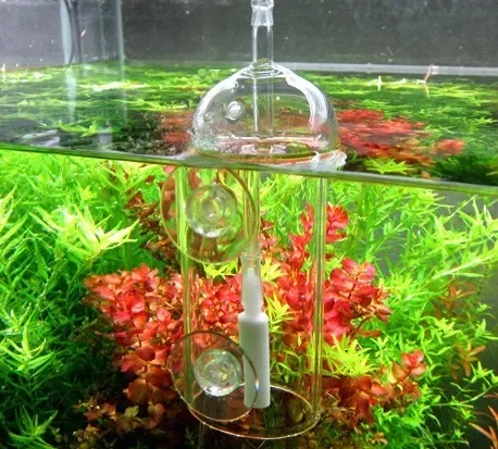 VIV Do Device Aquarium Cylinde - đánh giá và giá Aquarium Fish Store