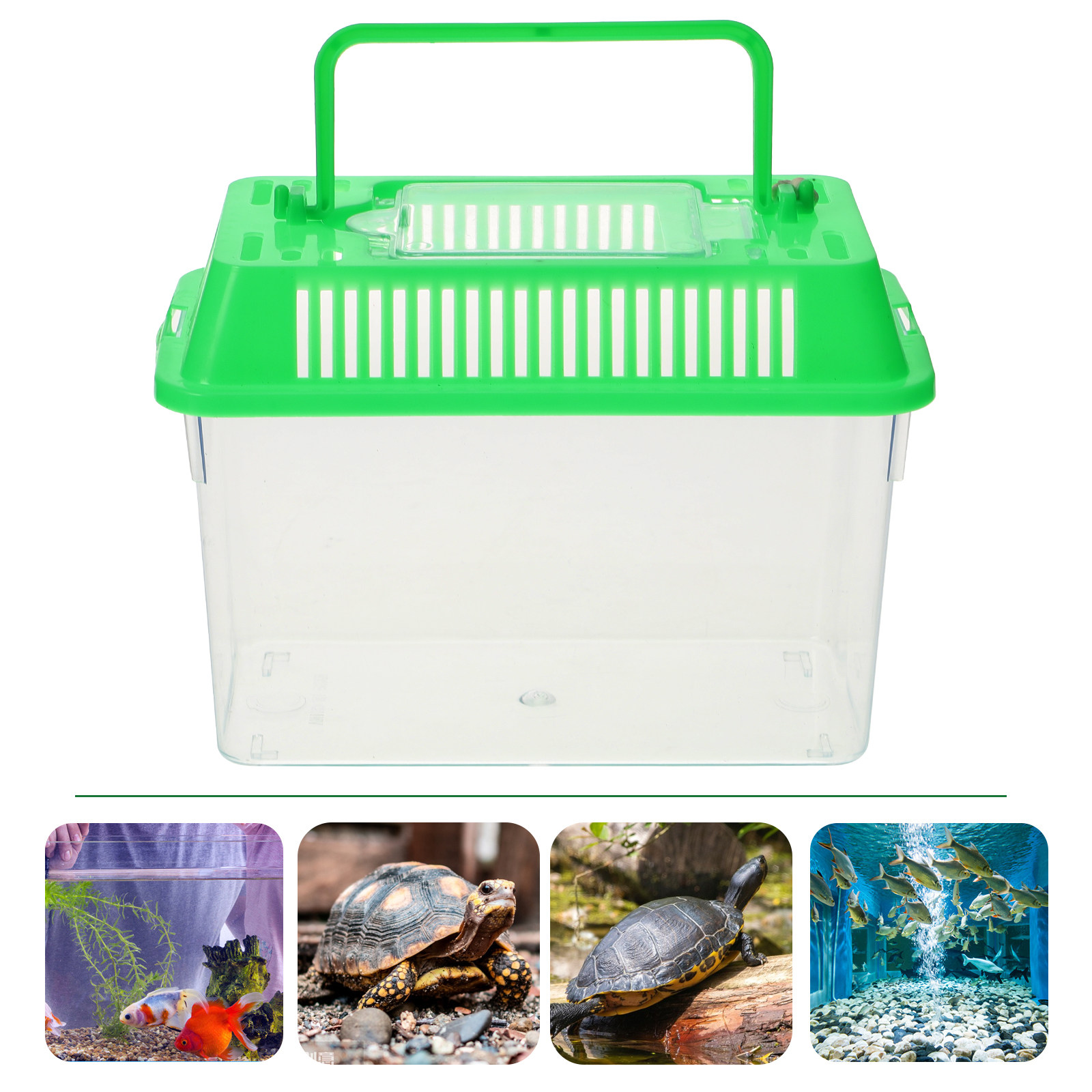 Plastic Handheld Mini Fish Tan - đánh giá và giá Aquarium Fish Goldfish