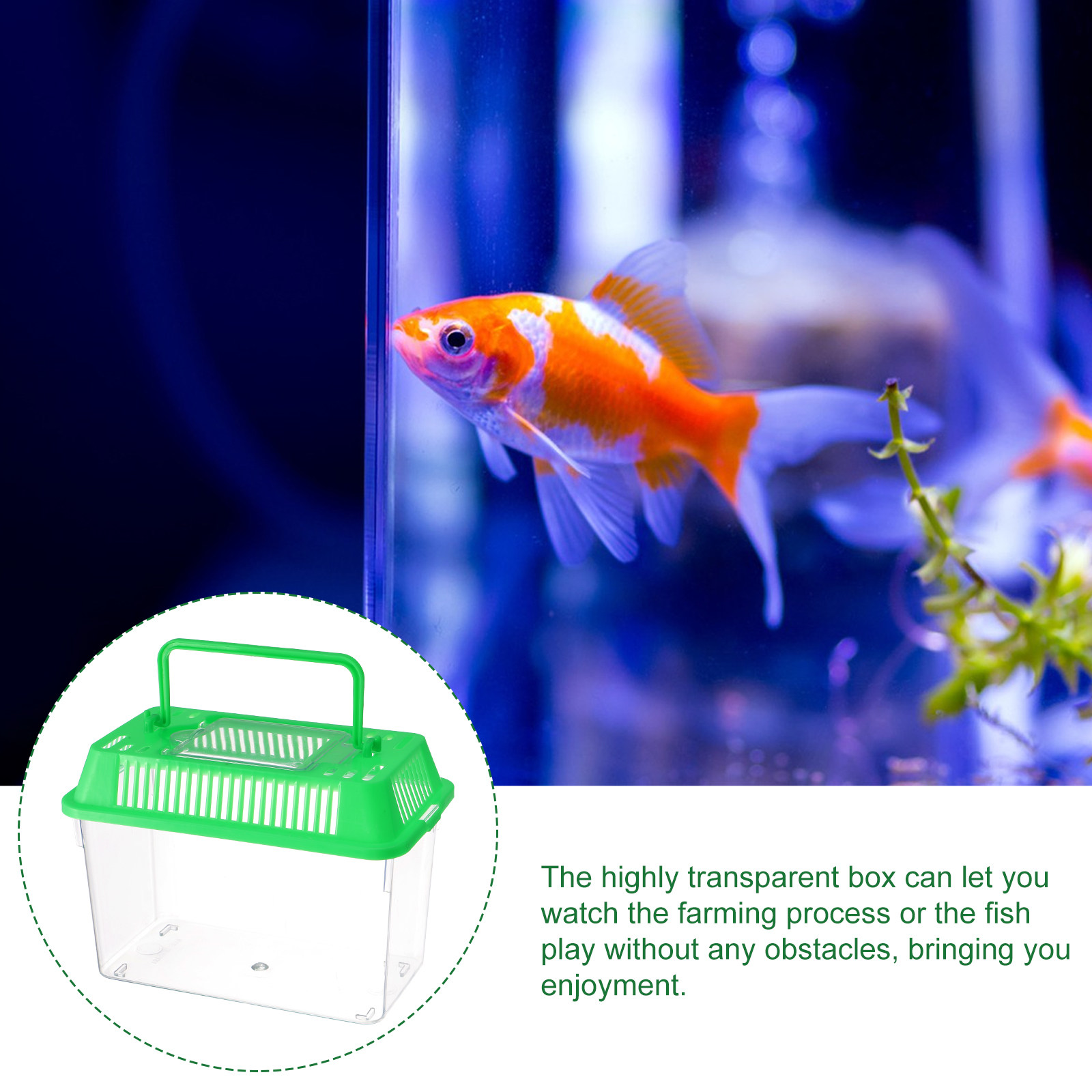 Plastic Handheld Mini Fish Tan - đánh giá và giá Aquarium Fish Goldfish
