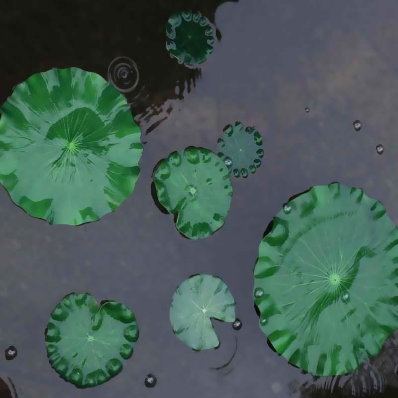 2026 Artificial Water Lily Lot - đánh giá và giá Aquarium Fish Pond
