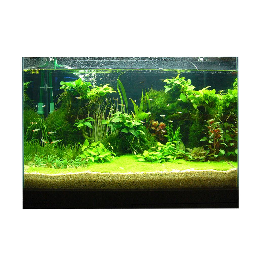 Fish Tank 3D Background Sticke - đánh giá và giá Fish In Aquarium Picture