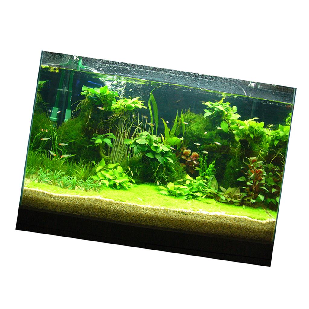 Fish Tank 3D Background Sticke - đánh giá và giá Fish In Aquarium Picture