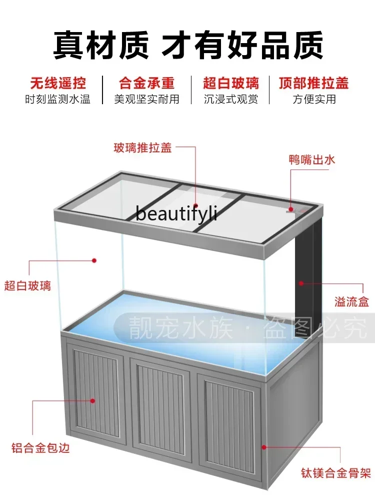 X New Light Luxury Dragon Fish - đánh giá và giá Xchange Aquarium Fish