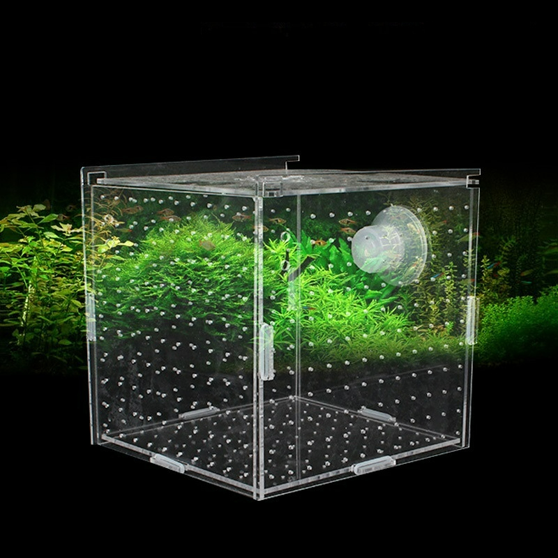 Acrylic Isolation Box Fish Tan - đánh giá và giá Aquarium Fish Net Small