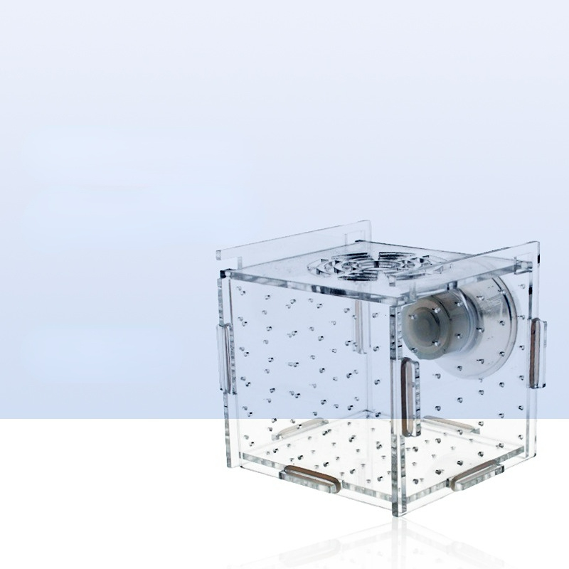 Acrylic Isolation Box Fish Tan - đánh giá và giá Aquarium Fish Net Small