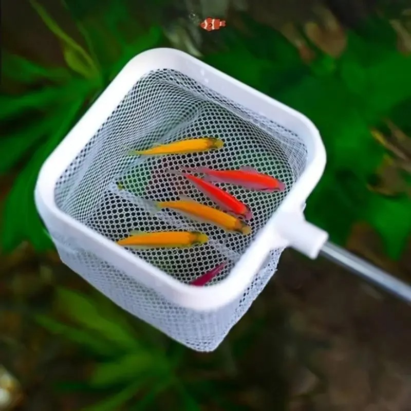 3D Aquarium Small Fish Scoop T - đánh giá và giá Aquarium Fish Net Small