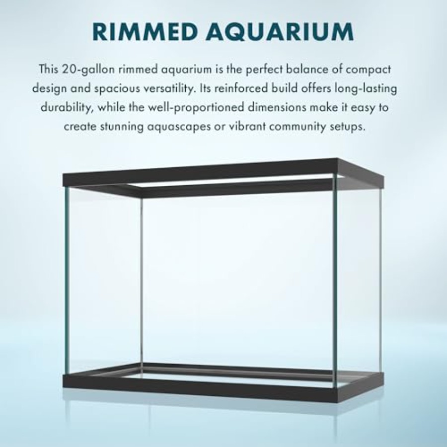 20 Gallon Glass Aquarium - 24  - đánh giá và giá Fish Toy In Aquarium