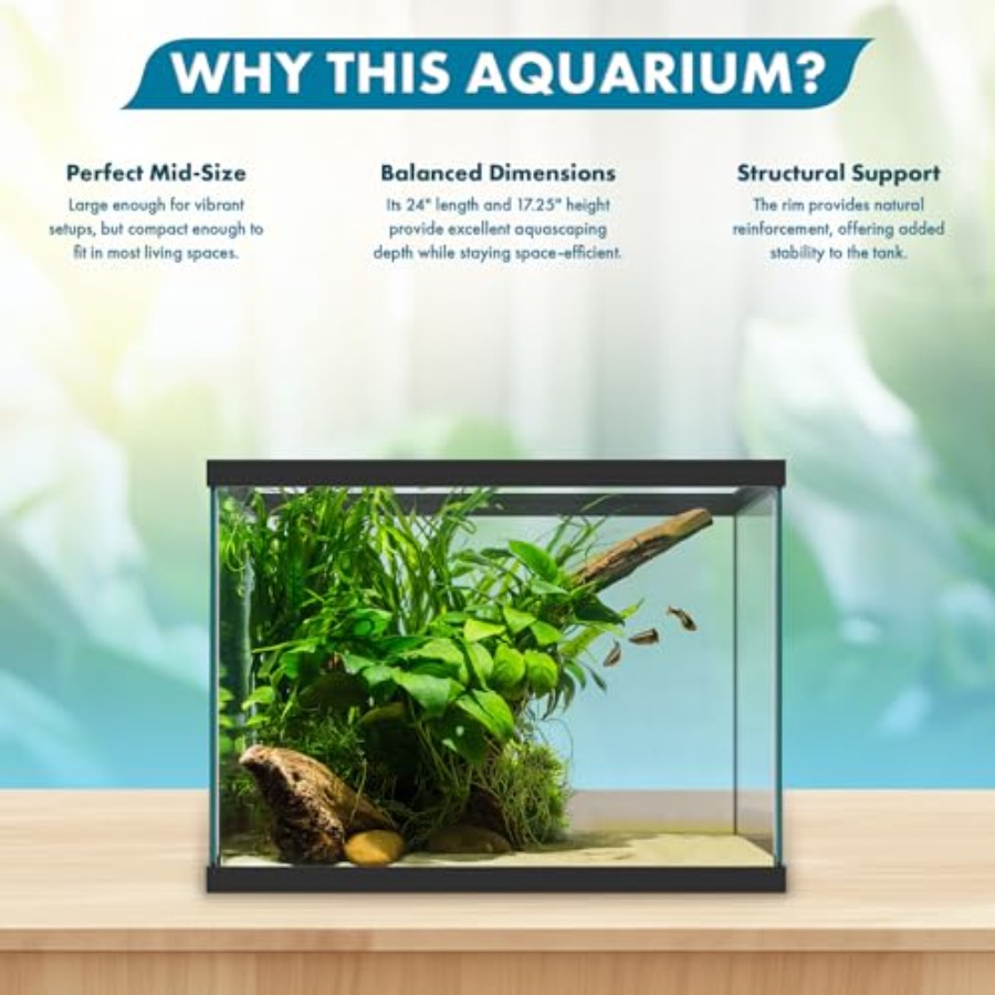 20 Gallon Glass Aquarium - 24  - đánh giá và giá Fish Toy In Aquarium