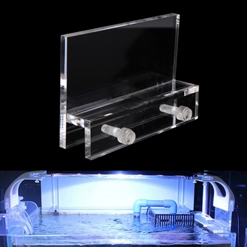 Acrylic Clear Aquarium Clear F - đánh giá và giá Aquarium Fish Photography