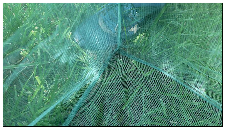 Câu Cá 3Mm Cổ Phần Nhỏ Lưới Bắ - đánh giá và giá Aquarium Fish Net Small