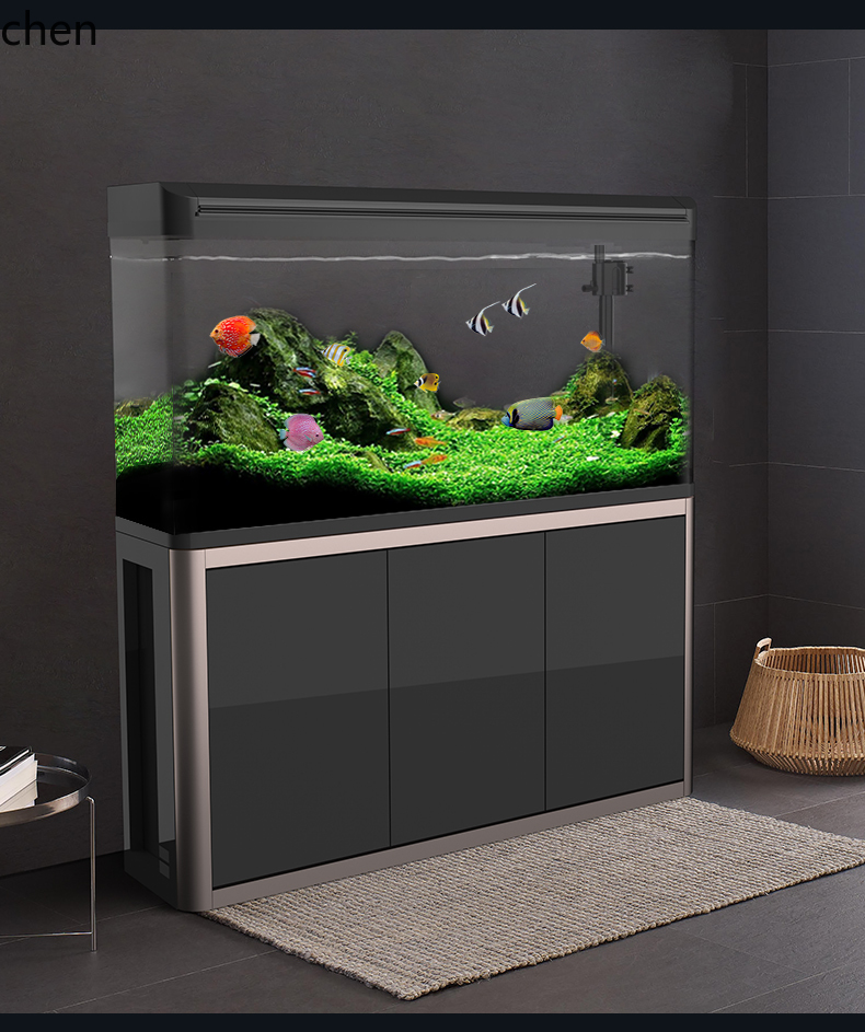 CZ  Medium-sized Living Room F - đánh giá và giá Aquarium Fish Goldfish
