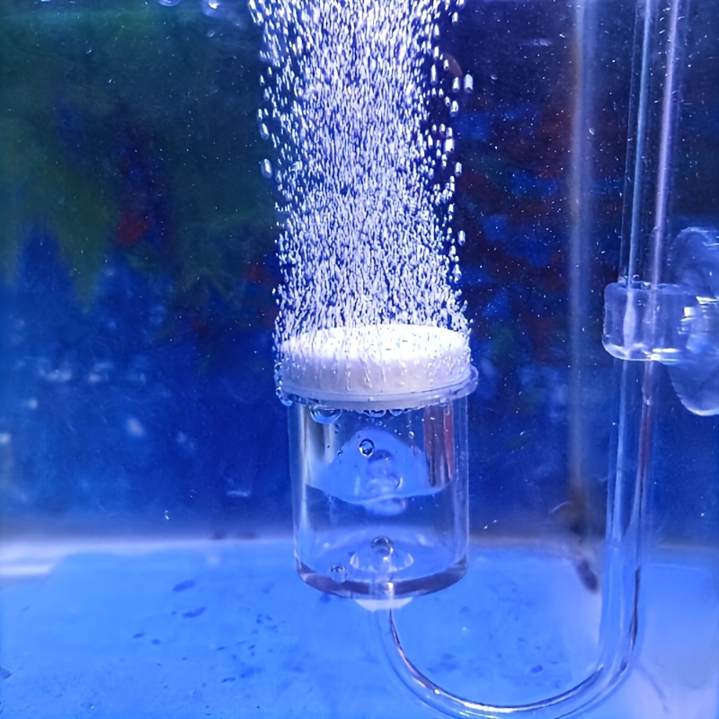 Aquarium Glass CO2 Atomizer Di - đánh giá và giá Aquarium Fish Photography