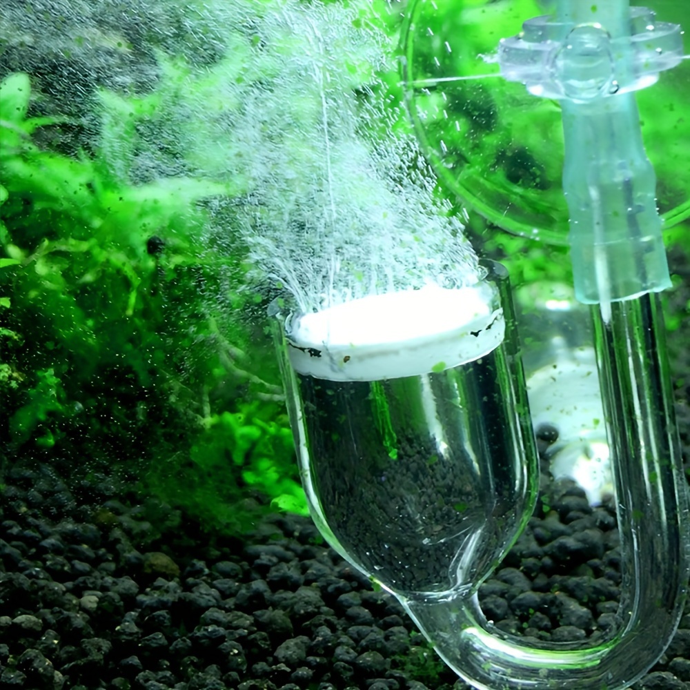 Aquarium Glass CO2 Atomizer Di - đánh giá và giá Aquarium Fish Photography