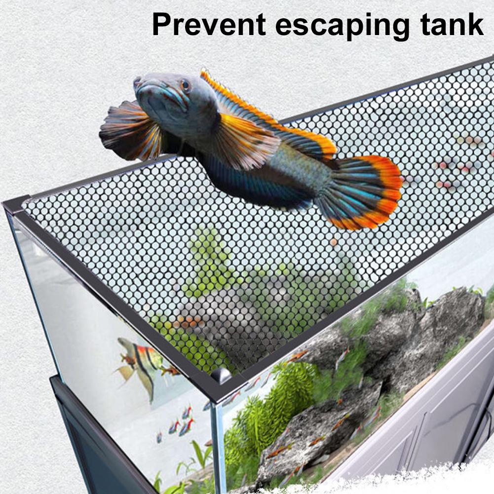 Magnetic Aquarium Cover Screen - đánh giá và giá Aquarium Fish Jump Guard