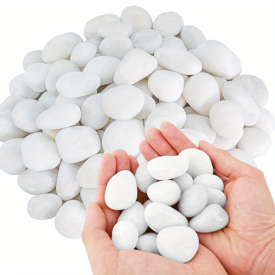 200/400g White High Polished N - đánh giá và giá Aquarium Fish Fishing