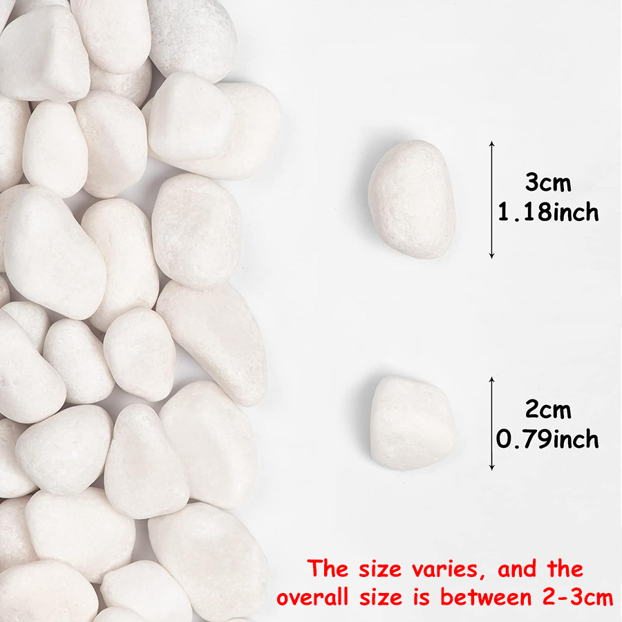 200/400g White High Polished N - đánh giá và giá Aquarium Fish Fishing